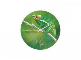 Часы настенные Nicole Time NT503 в Ленске - lensk.mebel-nsk.ru | фото